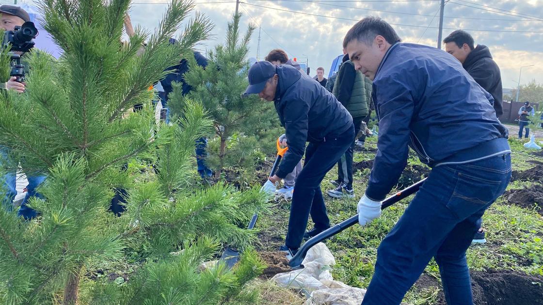 Участники субботника