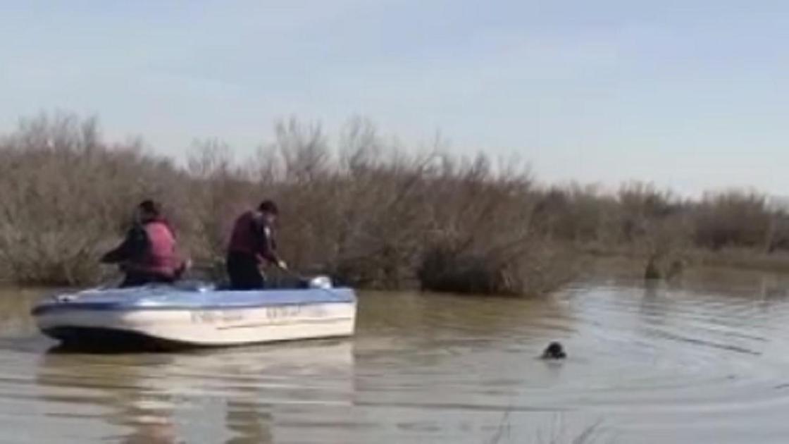 Двое мужчин в лодке и водолаз в реке