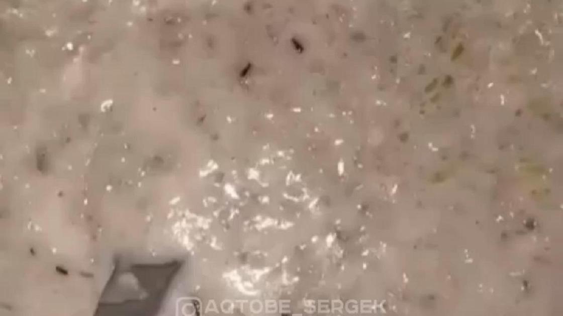 Еда в детском саду