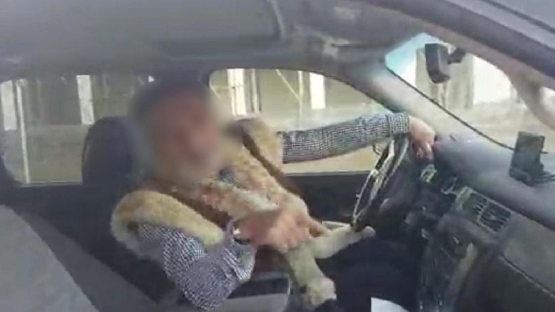 Мужчина сидит за рулем авто Мужчина сидит за рулем авто