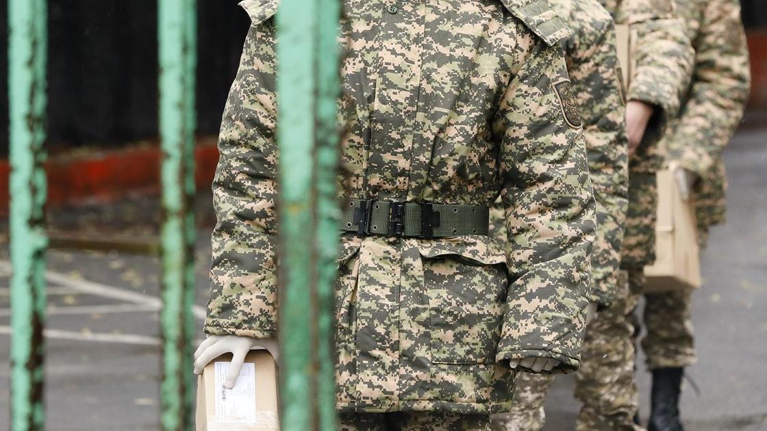 Военнослужащие стоят в ряд