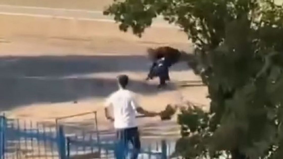 Учитель с лопатой и мужчина