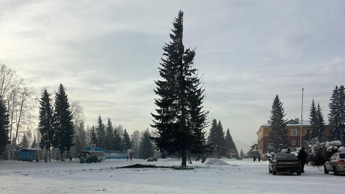 Елка на площади в городе Алтае