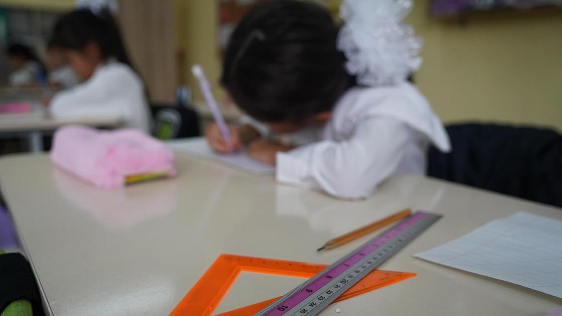 мектеп оқушысы