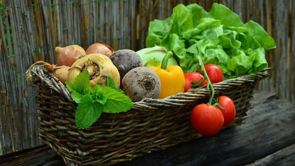 Корзина с овощами и зеленью Корзина с овощами и зеленью