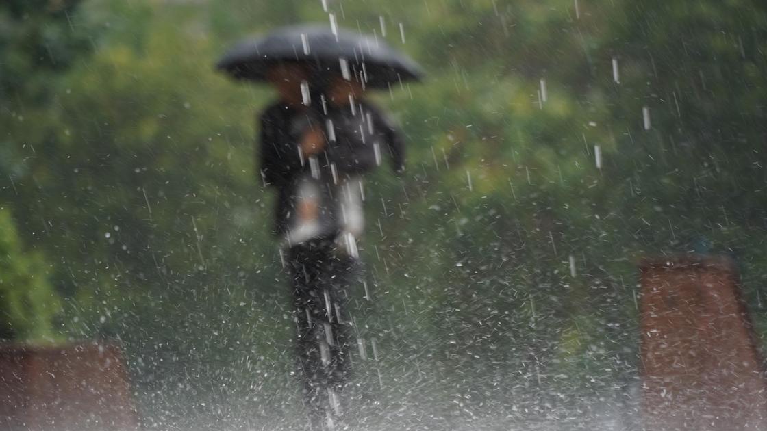 Мужчина с ребенком идут под зонтом во время дождя