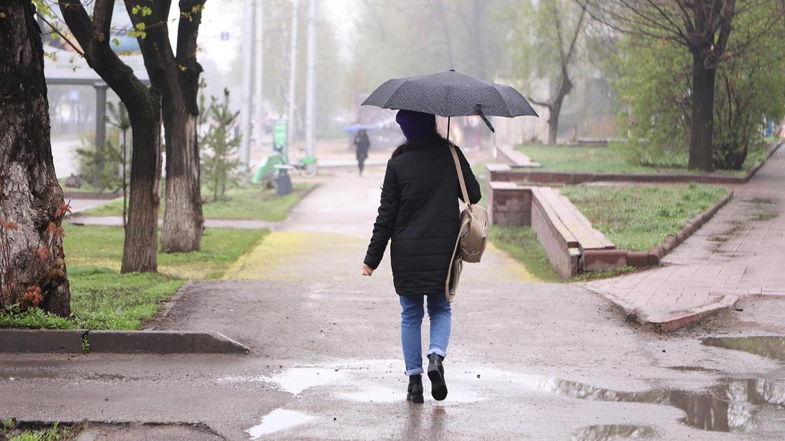 Девушка с зонтом идет под дождем