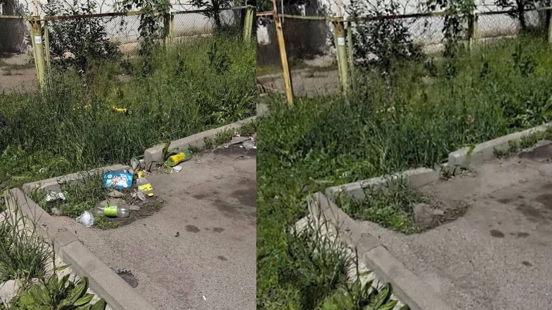 Мусор в Алматы