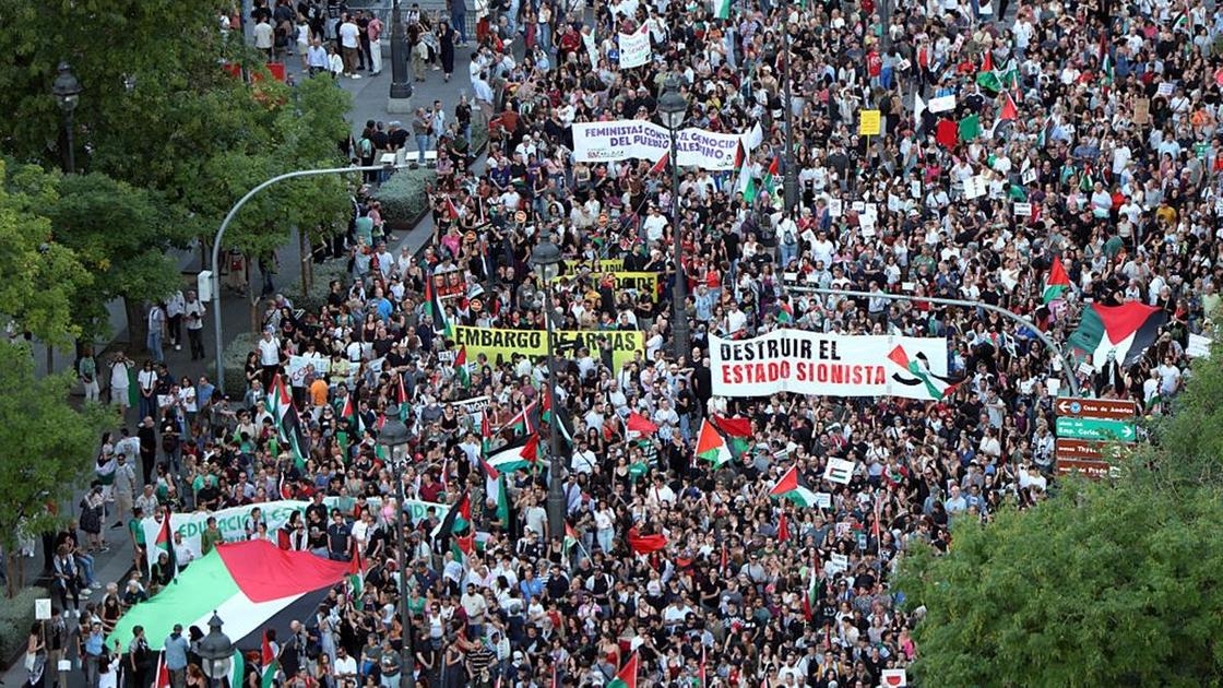 Пропалестинские акции в Европе