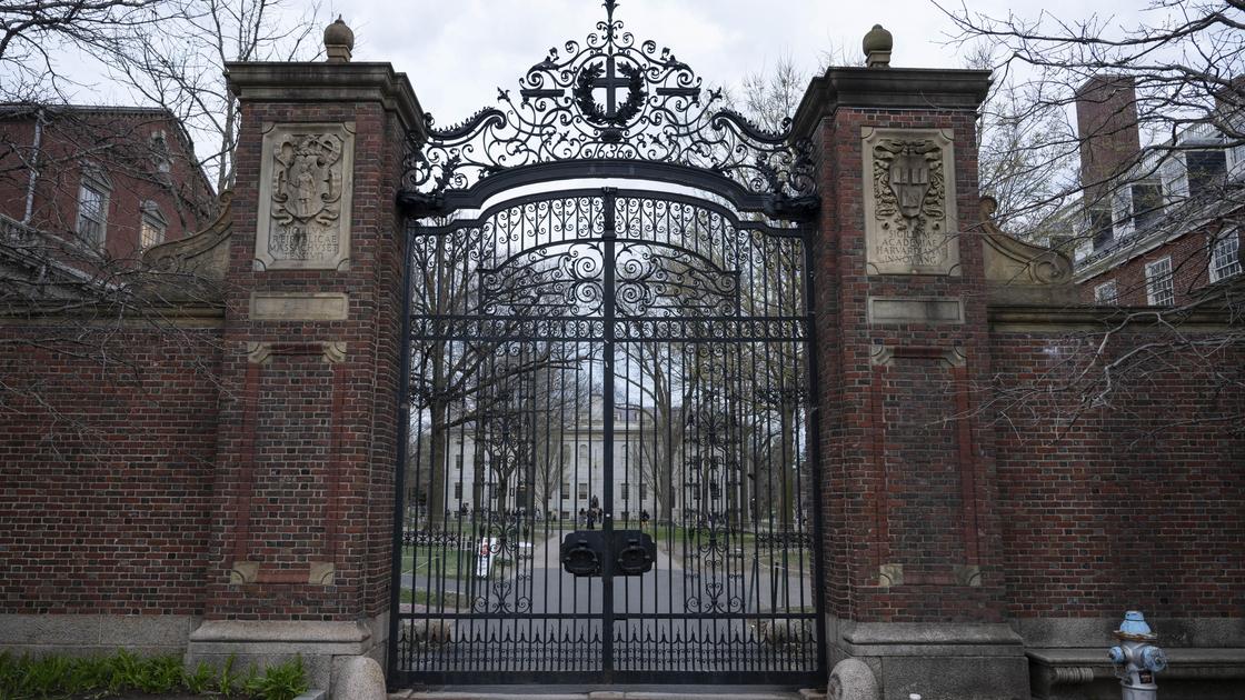 Университет Гарвард