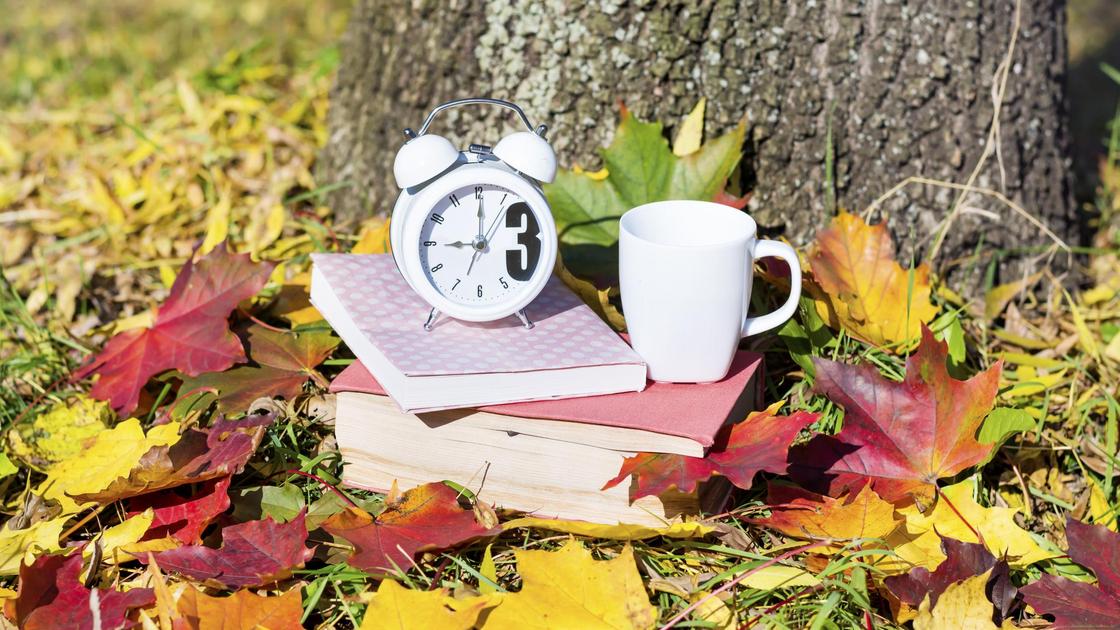 Часы, книги и чашка на осенней листве