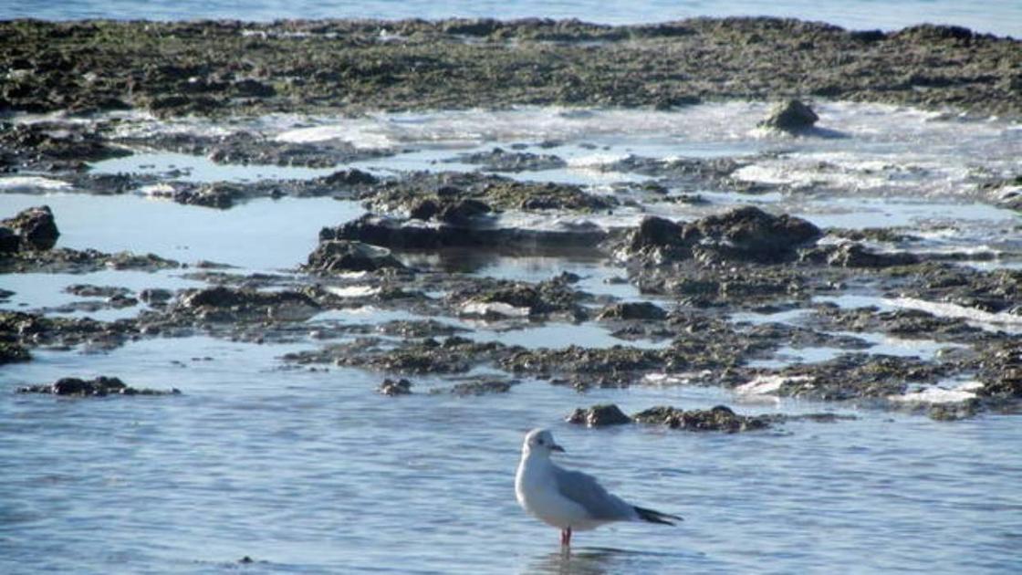 Каспийское море