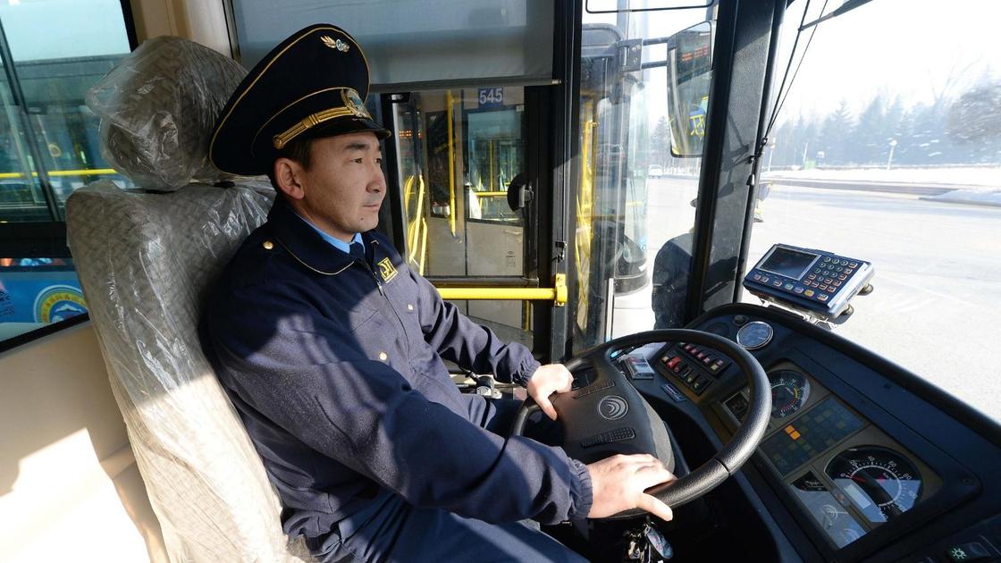 Водитель автобуса