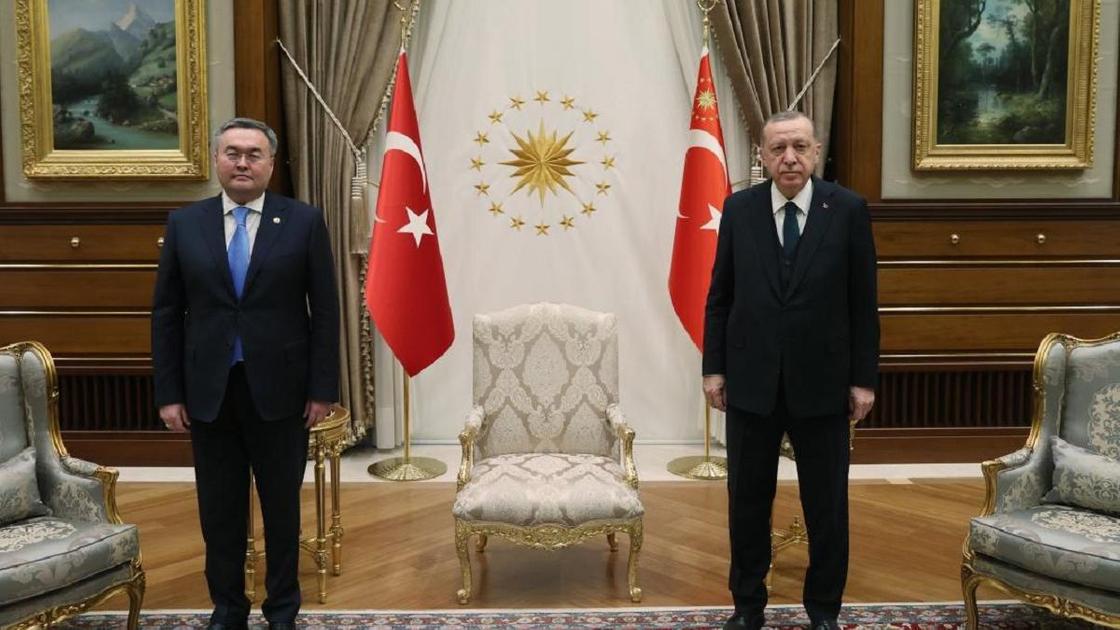 Мухтар Тлеуберди и Реджеп Тайип Эрдоган