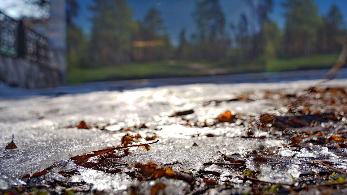 Жылы ауа райы