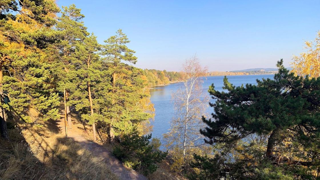 Лес возле озера в Бурабае