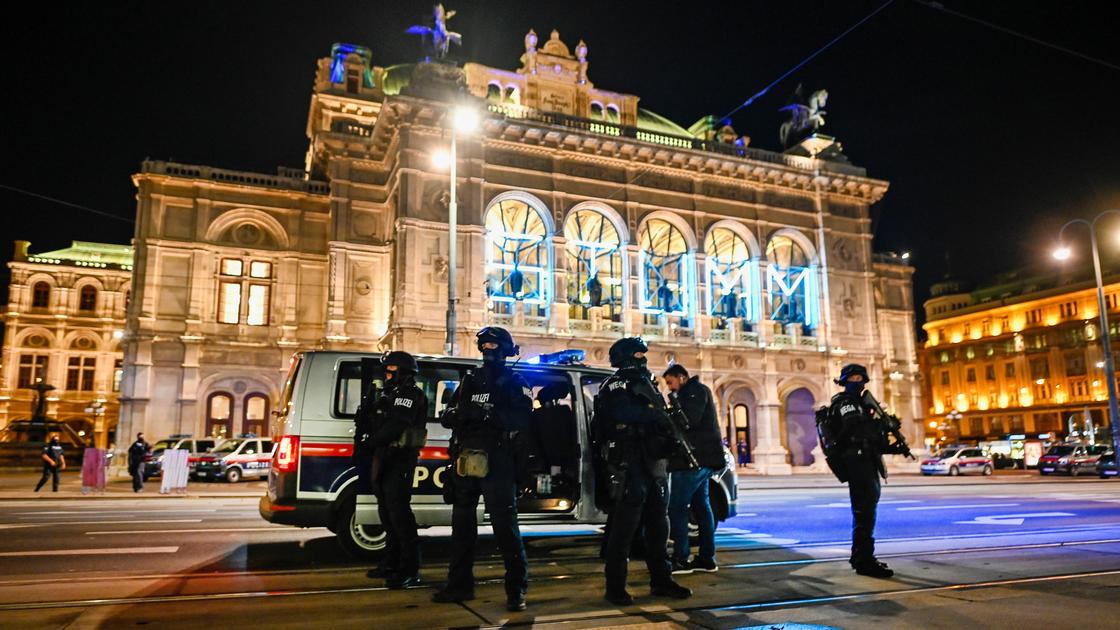 Полиция на улице Вены