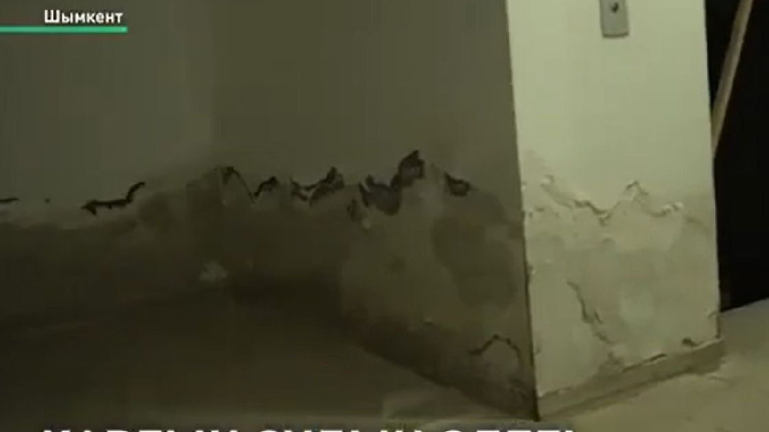 Шымкенттегі жертөлесі су басқан тұрғын үй