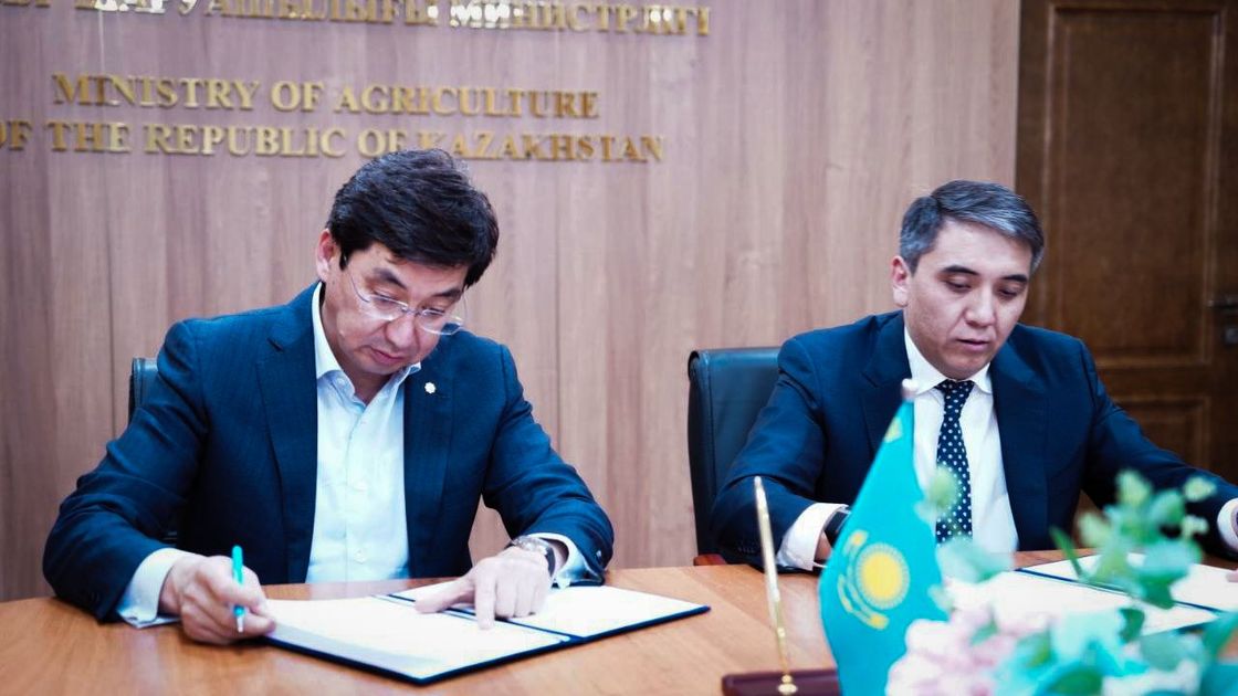Halyk Bank