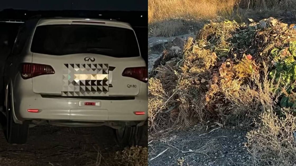 Автомобиль и ботва