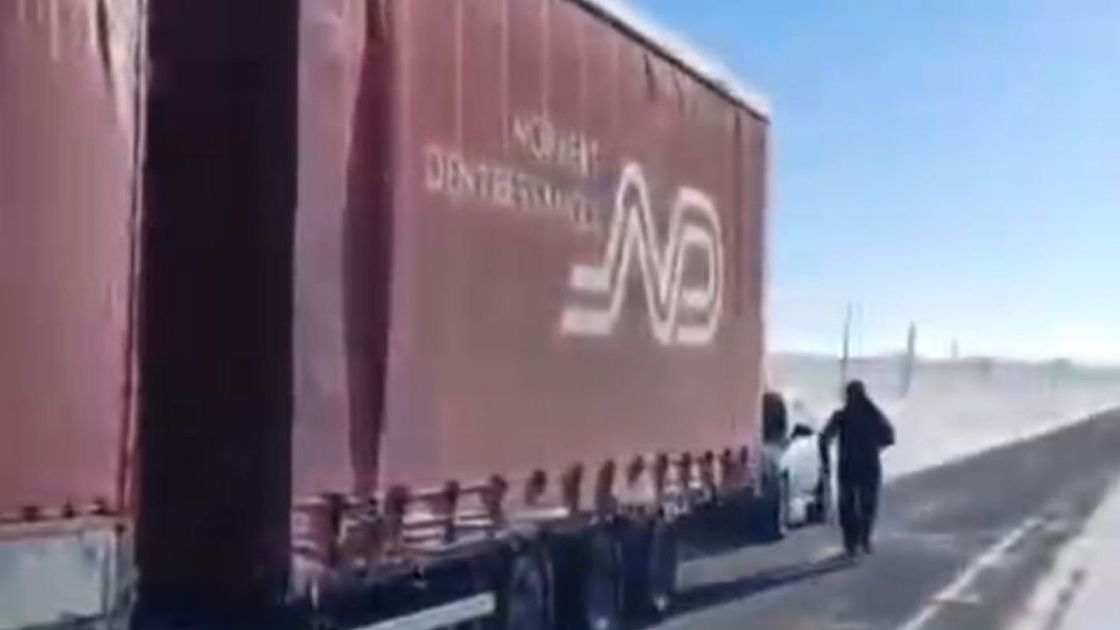 Грузовик с лошадьми