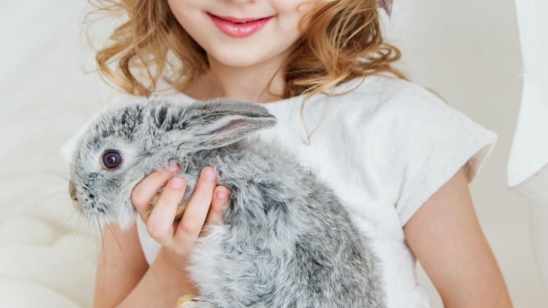 Девочка держит декоративного кролика