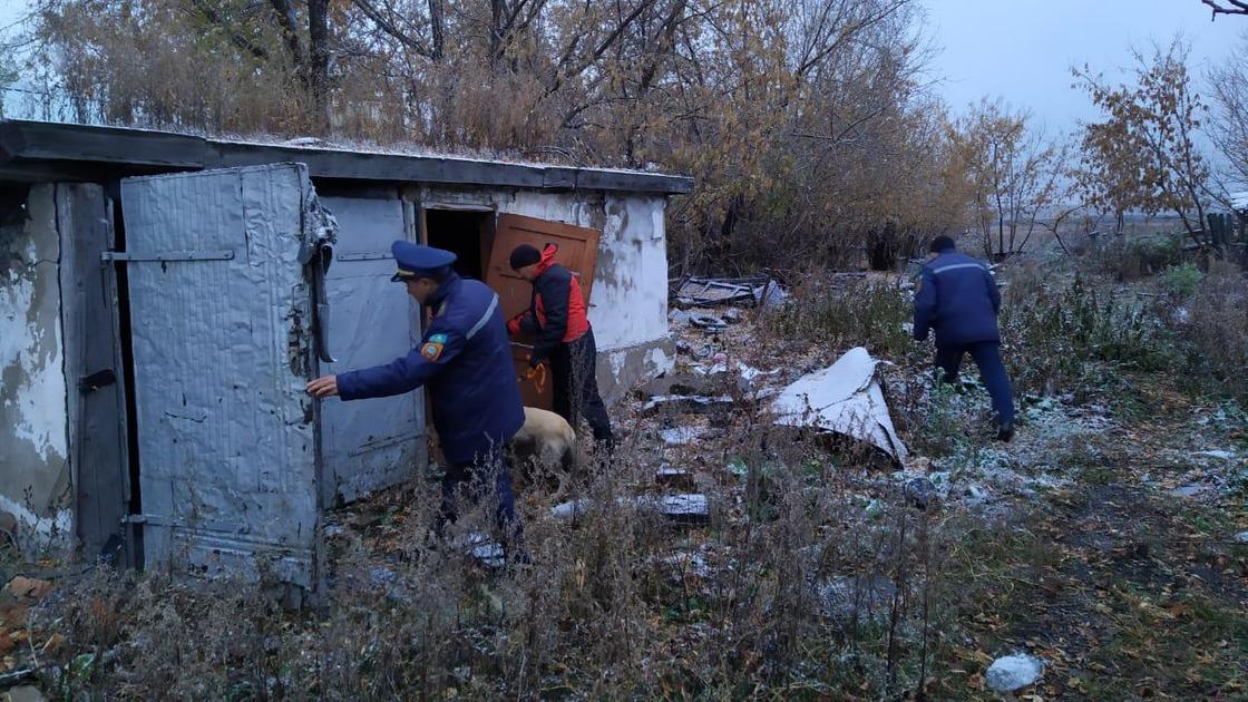 Дети пропали в Карагандинской области