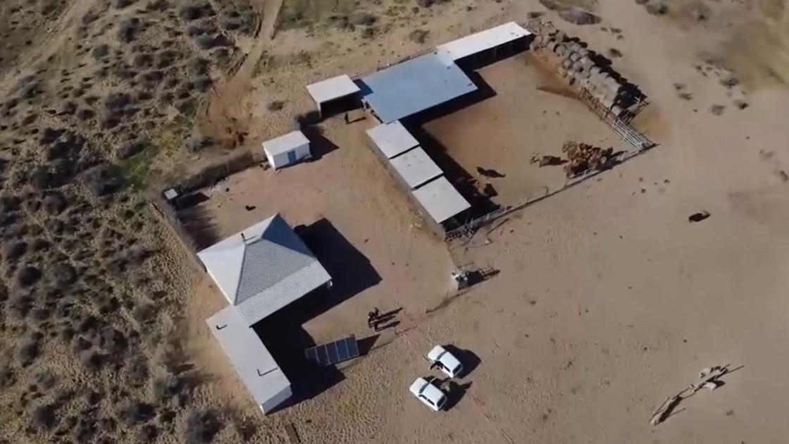 ОПГ скотокрадов