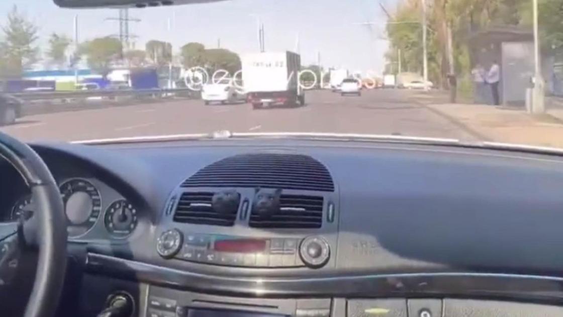 Нарушитель за рулем авто в Алматы