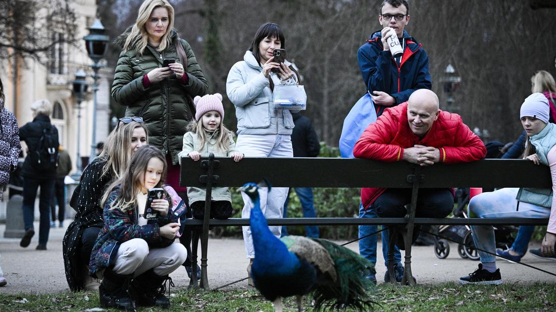 Люди стоят в парке в Варшаве