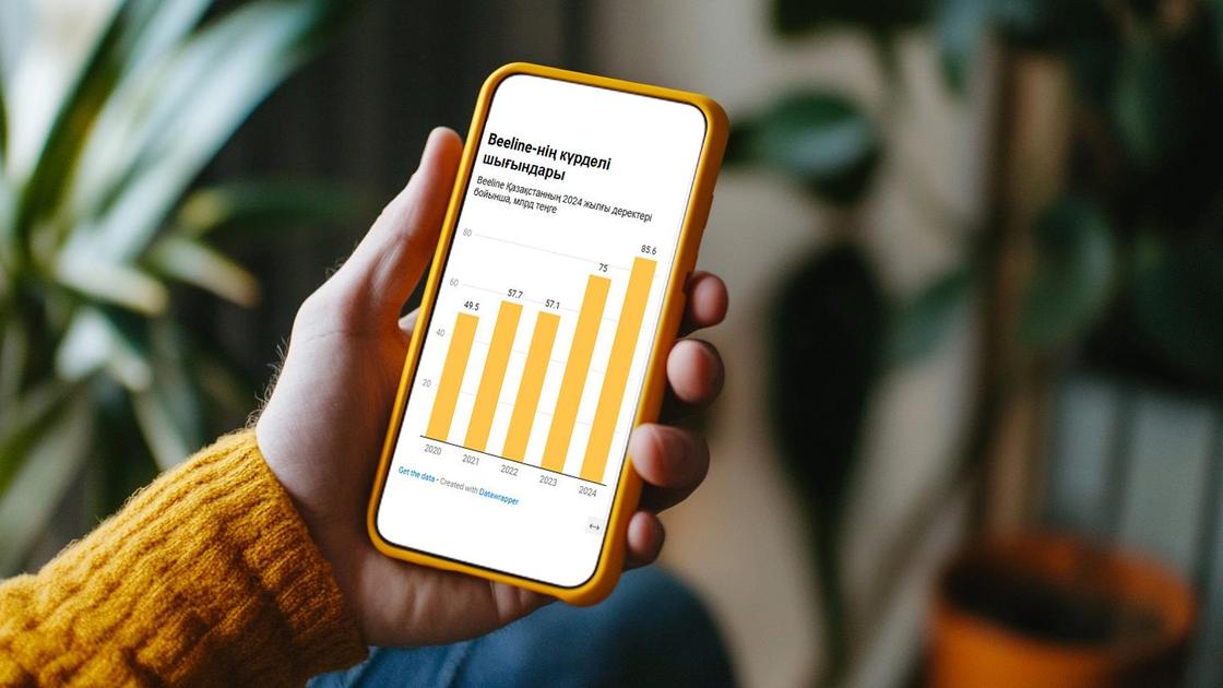 Инфографика Beeline Казахстан