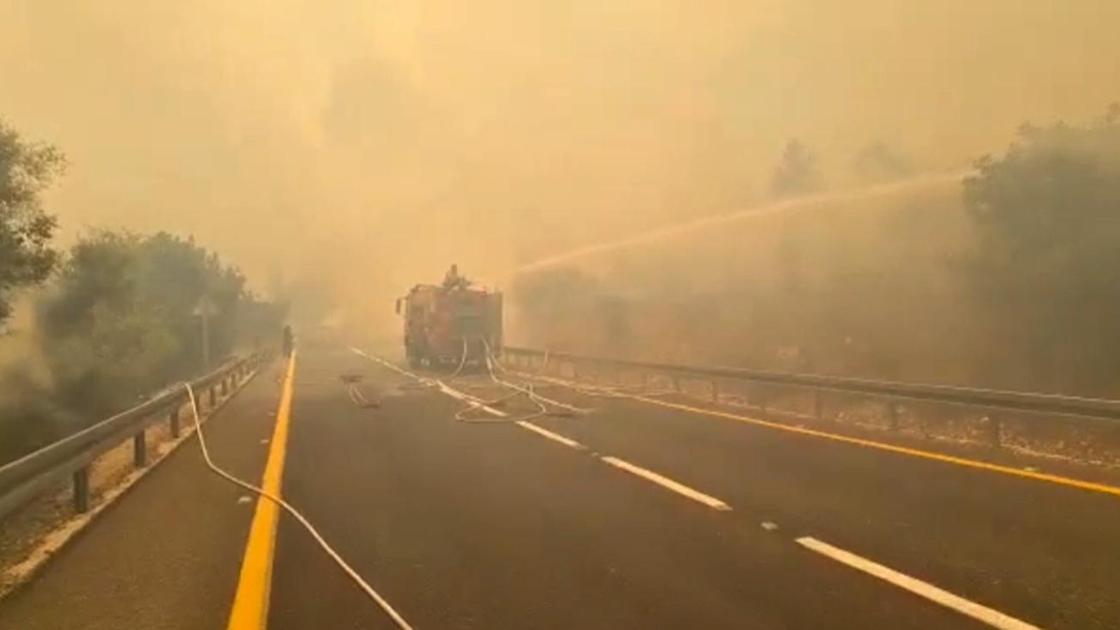 Израильские пожарные тушат леса