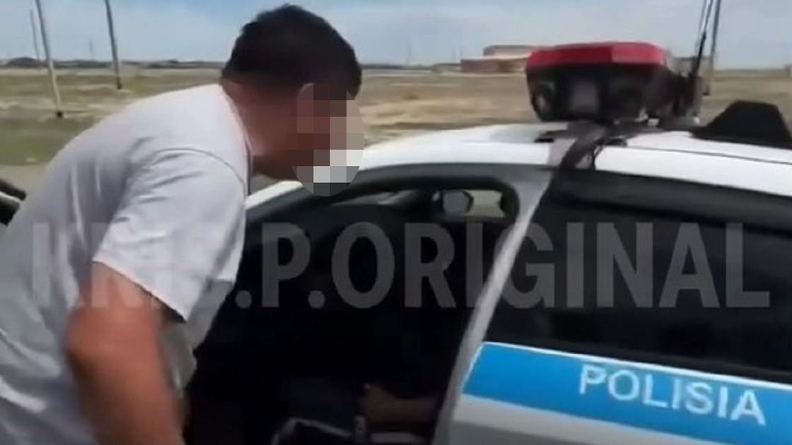 Водитель и полицейский