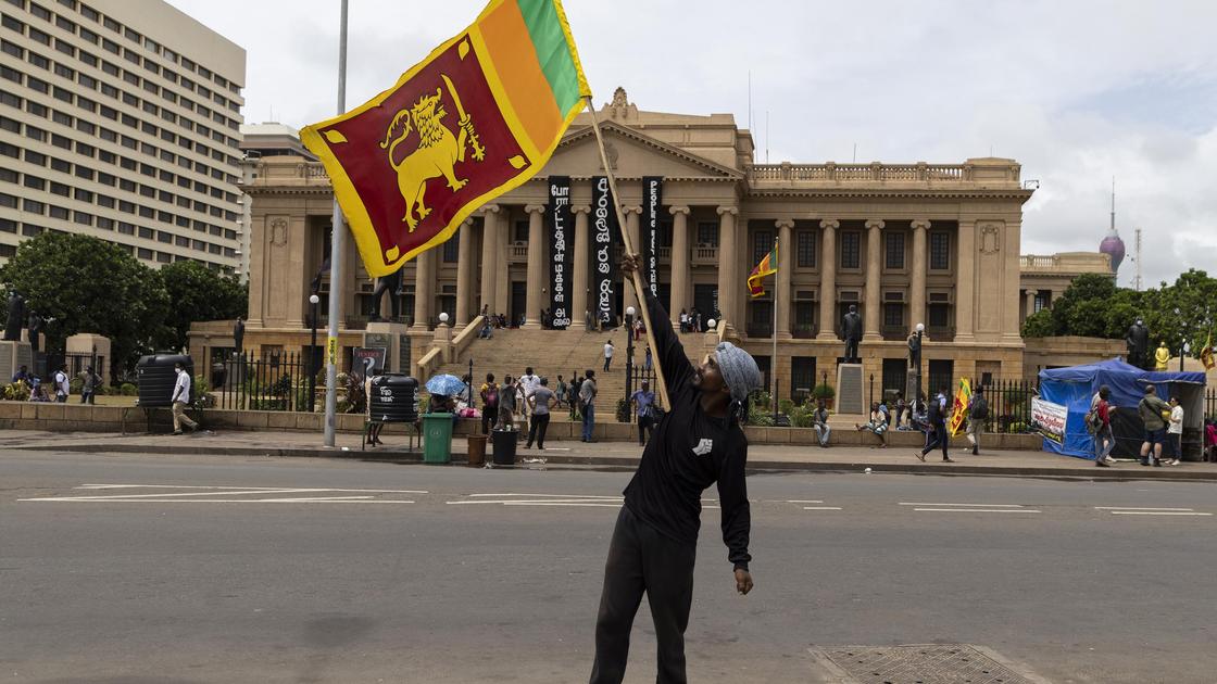 Протестующий с флагом Шри-Ланки перед президентским дворцом