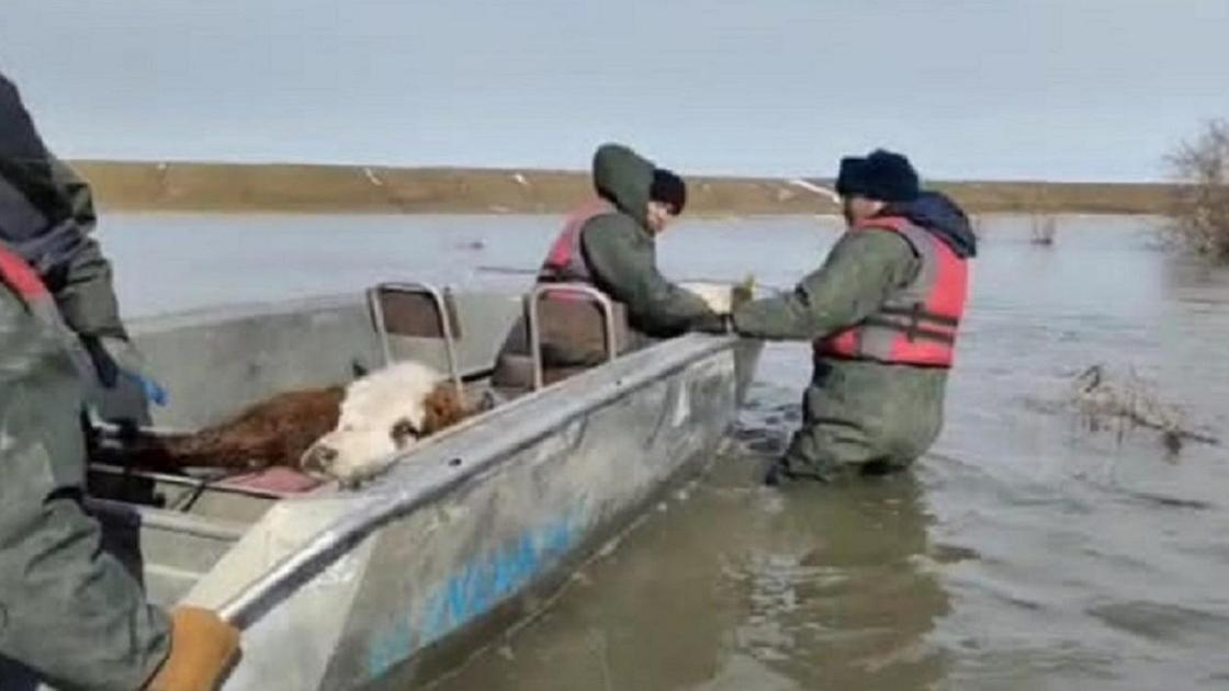 Спасательные работы в Актюбинской области
