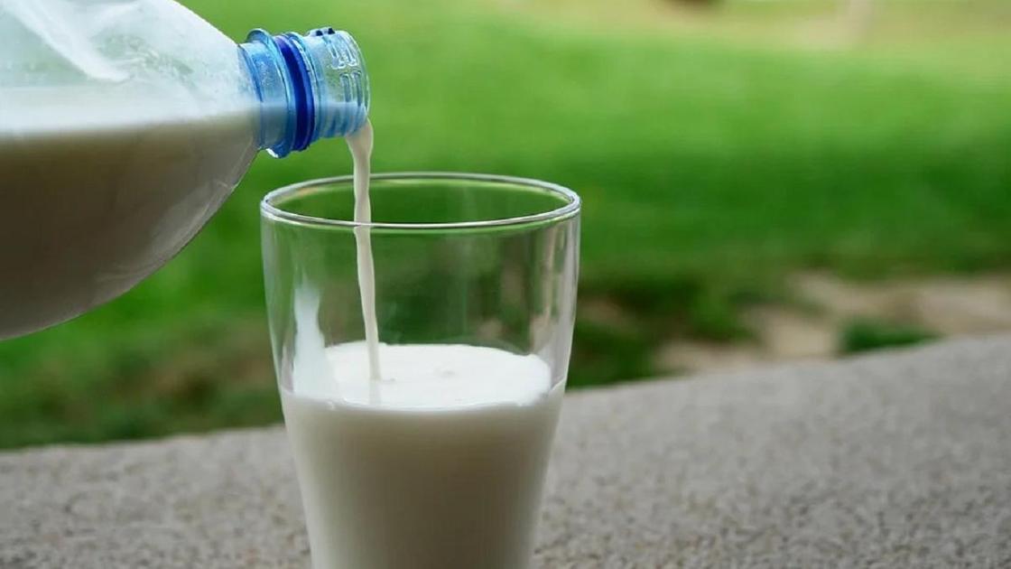 Из бутылки наливают молоко в стакан