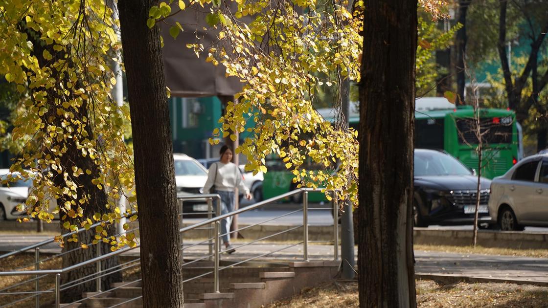 Город