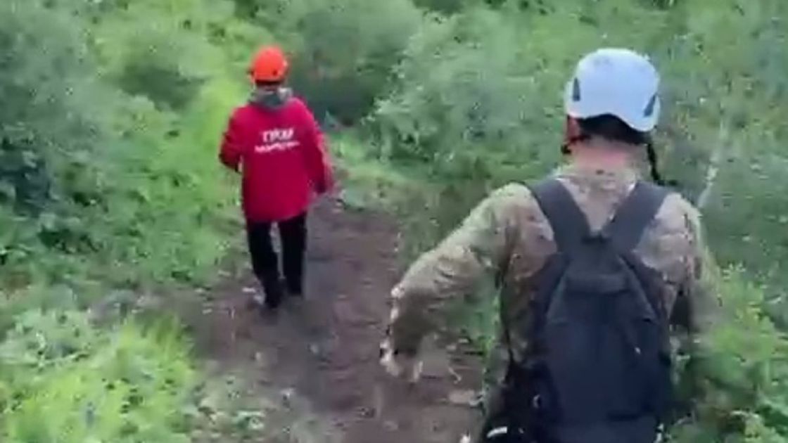 Поиски пенсионерки