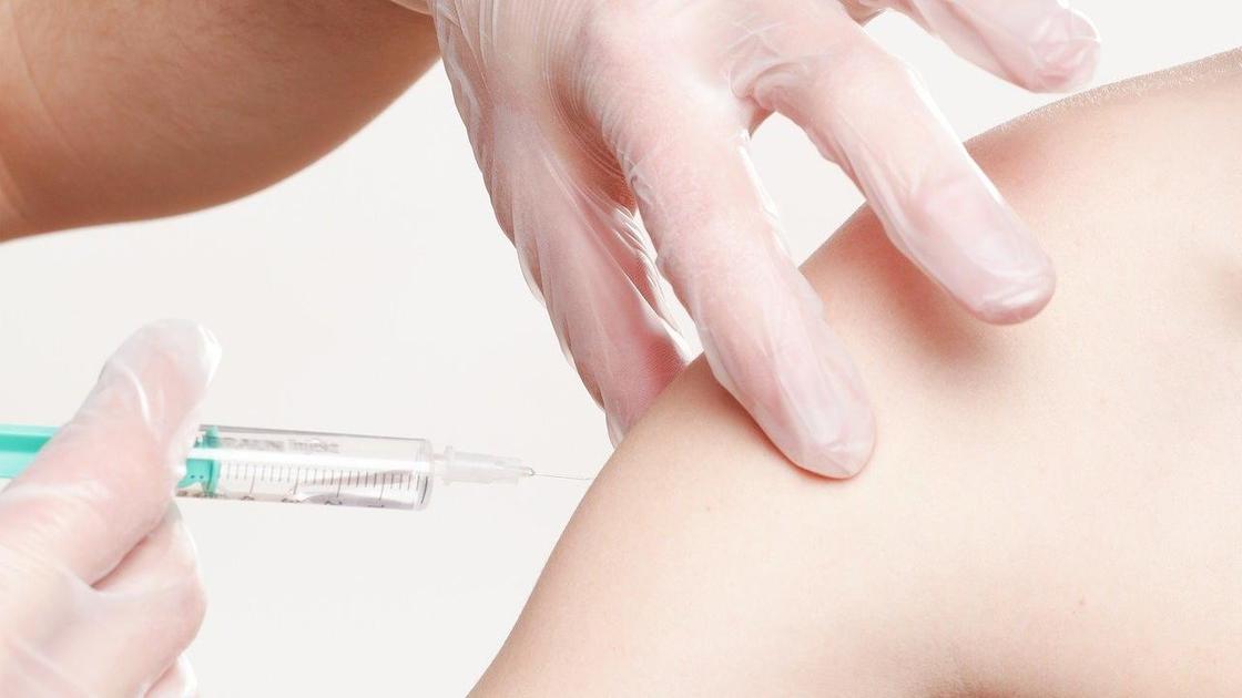 Вакцинация Вакцинация