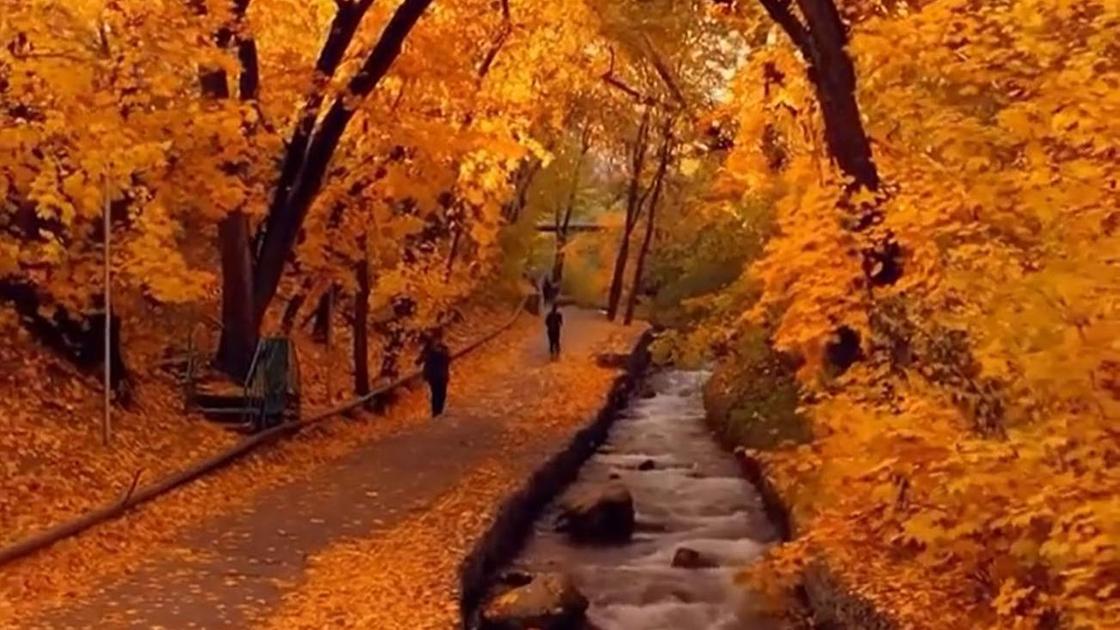 Осенний пейзаж в Алматы
