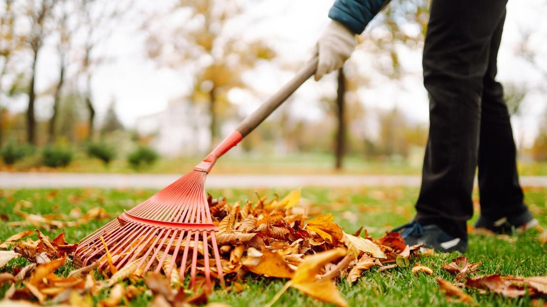 Общественные работы