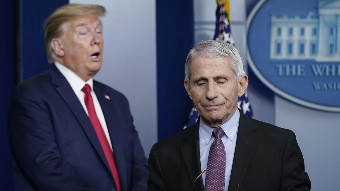 Энтони Фаучи и Дональд Трамп Энтони Фаучи и Дональд Трамп