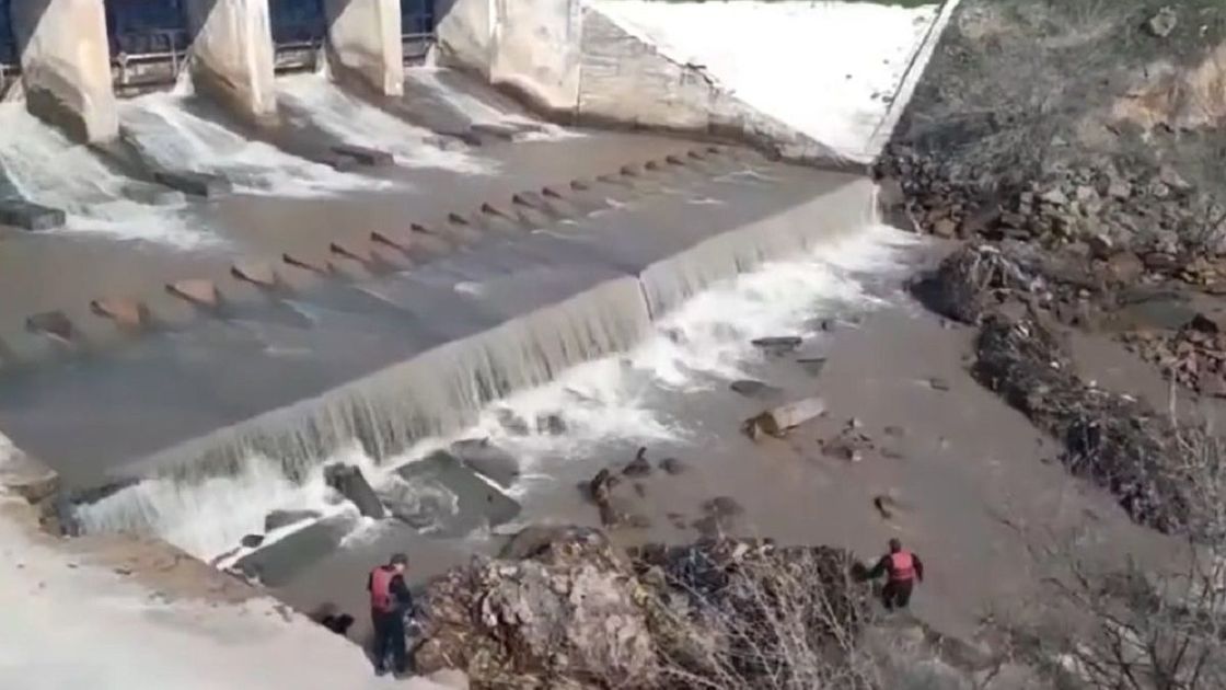 Поиски ребенка