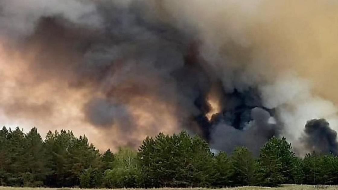 Дым над деревьями в Абайской области