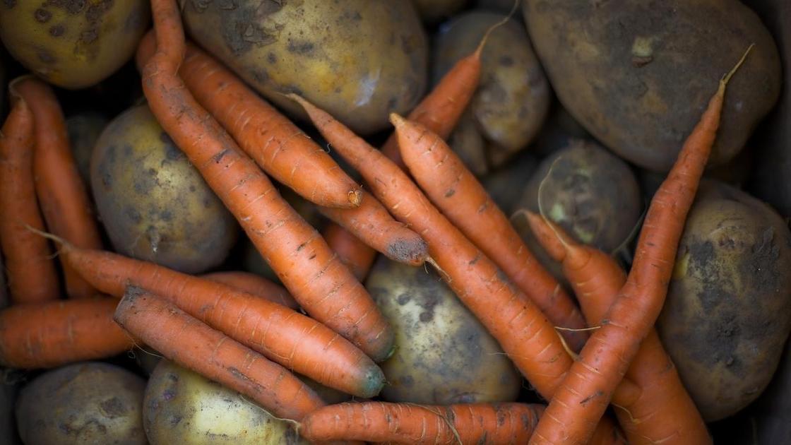 Морковь и картофель