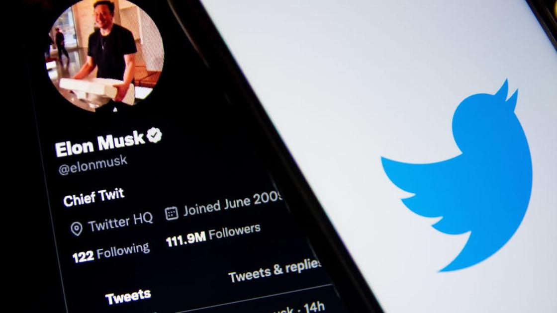 Профиль Илона Маска в Twitter и логотип соцсети
