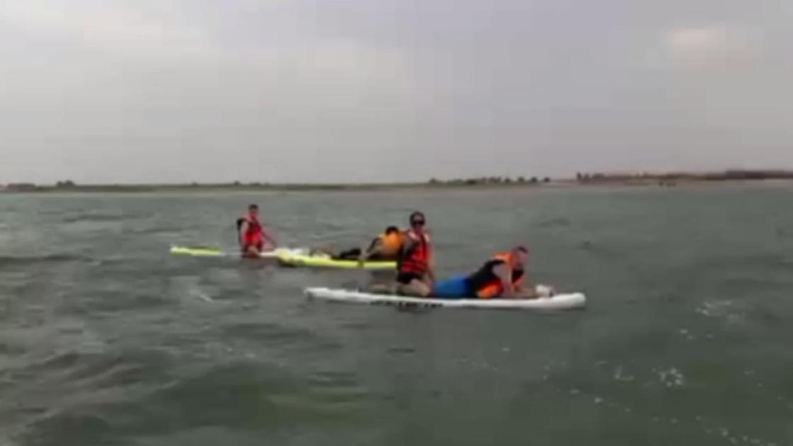 Люди плавают на байдарках