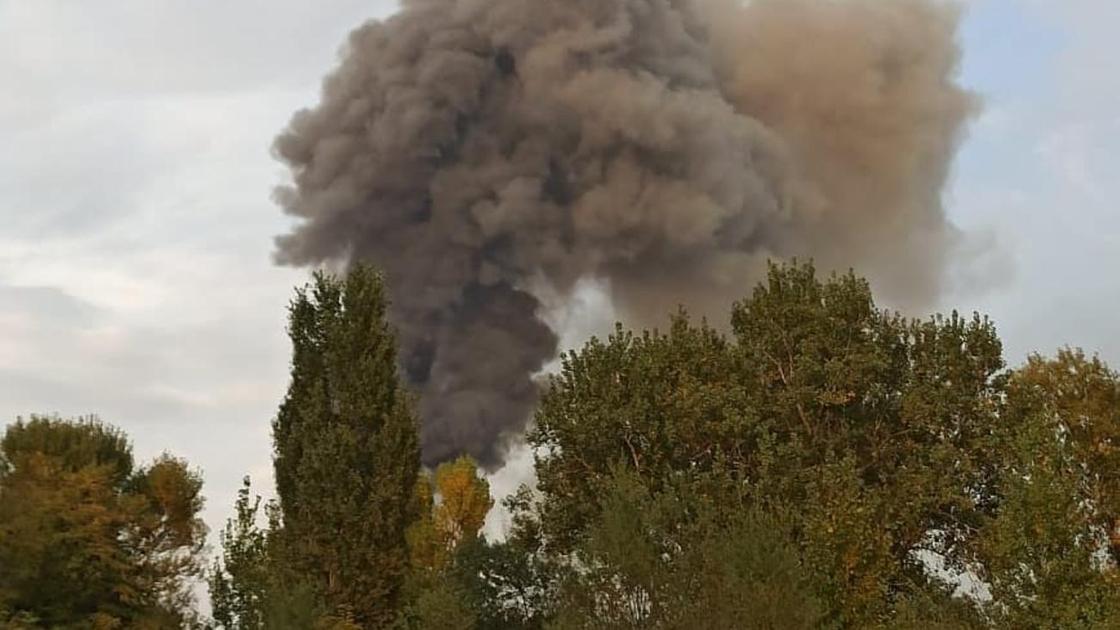 Столб дыма возвышается над деревьями Столб дыма возвышается над деревьями