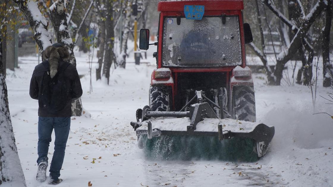 Улица во время снегопада в Алматы