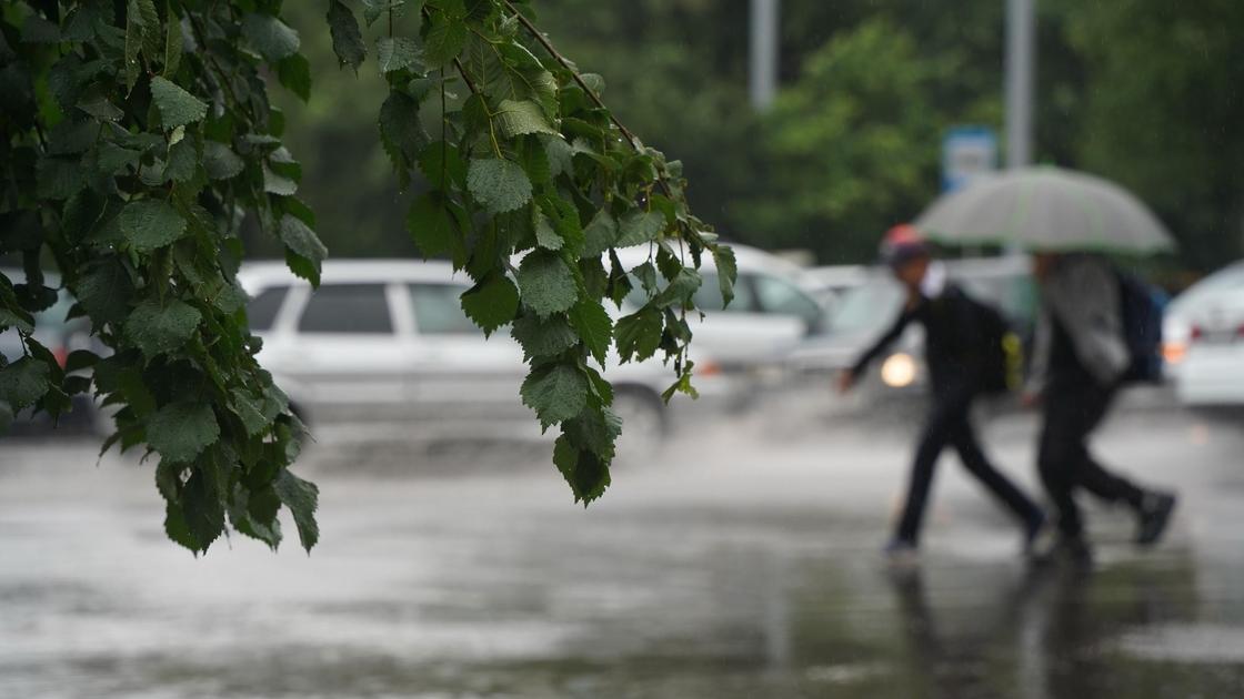 жаңбырлы күн